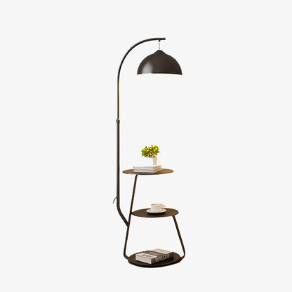 Floor Lamp With A Display Base