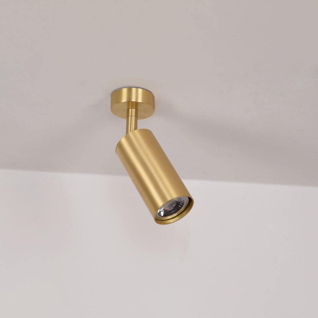 Cylinder Brass Series Ceiling Lamp