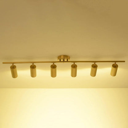 Cylinder Brass Series Ceiling Lamp