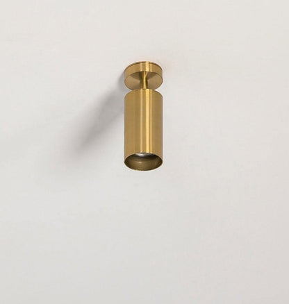 Cylinder Brass Series Ceiling Lamp