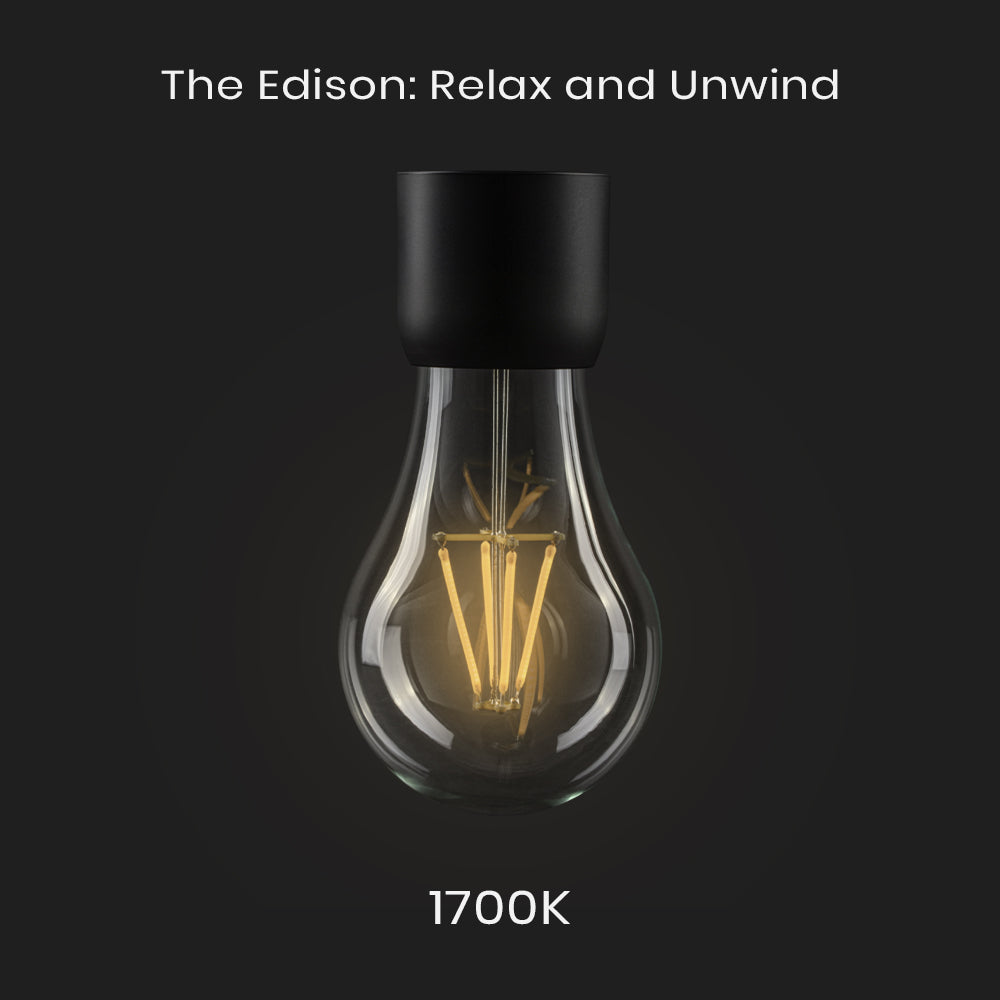 Edison Lightbulb - Low Stock! USA Orders Only