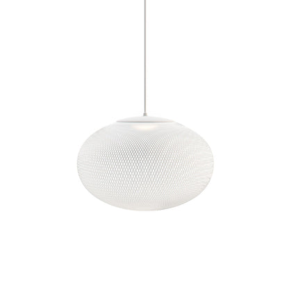 Metallic Meshwork Pendant Lamp