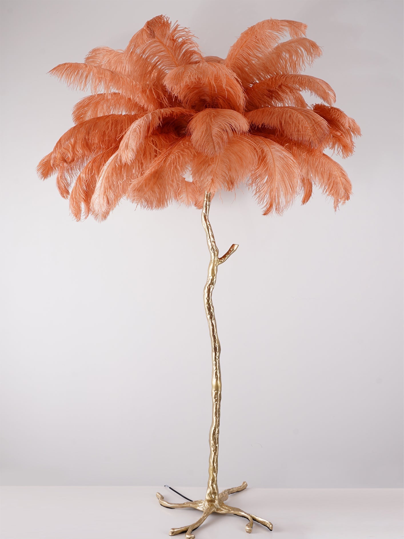 Beautiful Feather Brass Floor Lamp